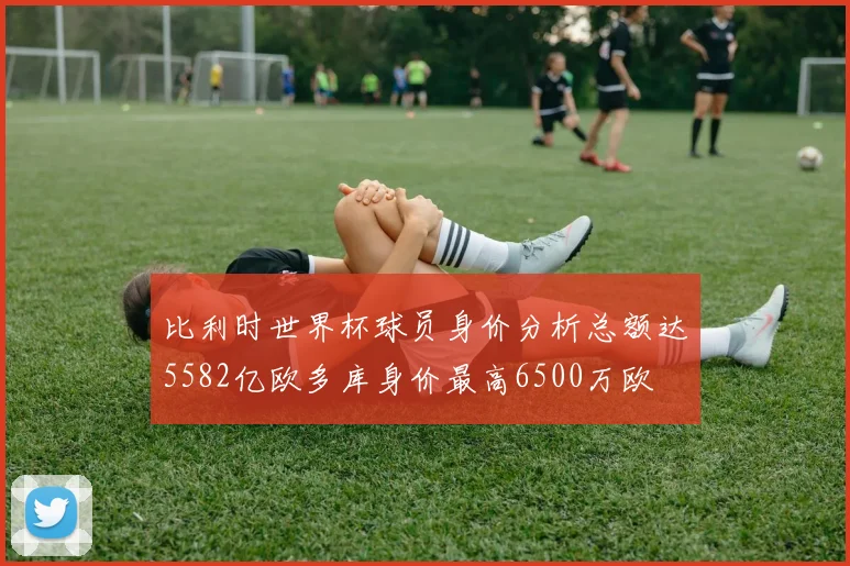 比利时世界杯球员身价分析总额达5582亿欧多库身价最高6500万欧